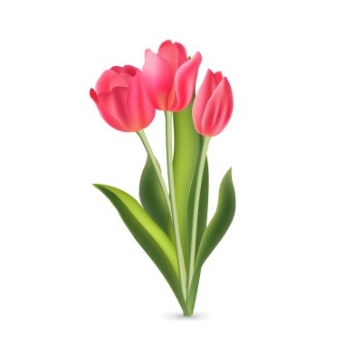 Beyaz arka planda yeşil yapraklı gerçekçi pembe laleler.