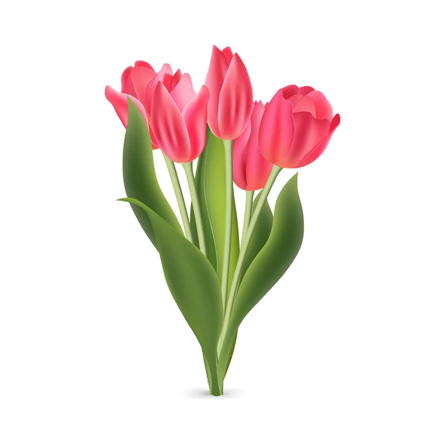 Tulipes Réalistes Rouges Roses Avec Des Feuilles Vertes Isolées Sur — Image vectorielle