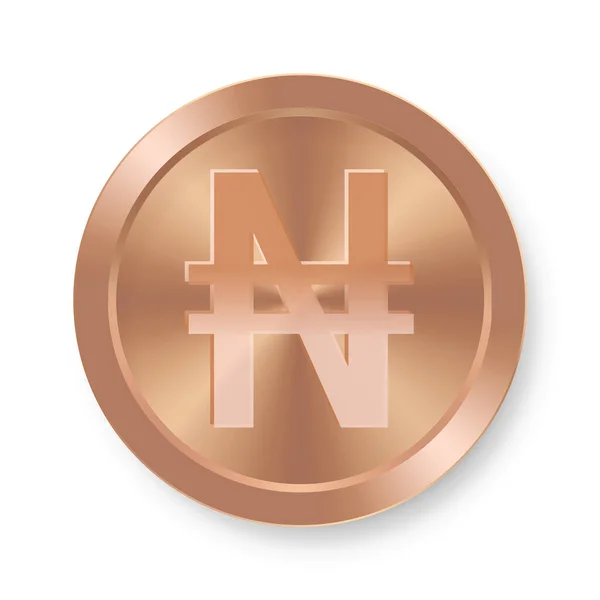 Bronze Der Naira Münze Konzept Der Internetwährung — Stockvektor