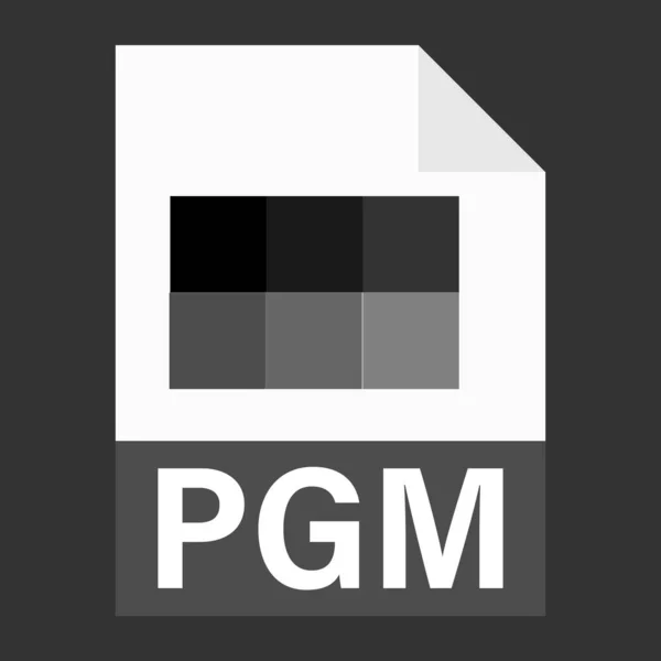 ウェブのためのPgmファイルアイコンの現代的なフラットデザイン — ストックベクタ