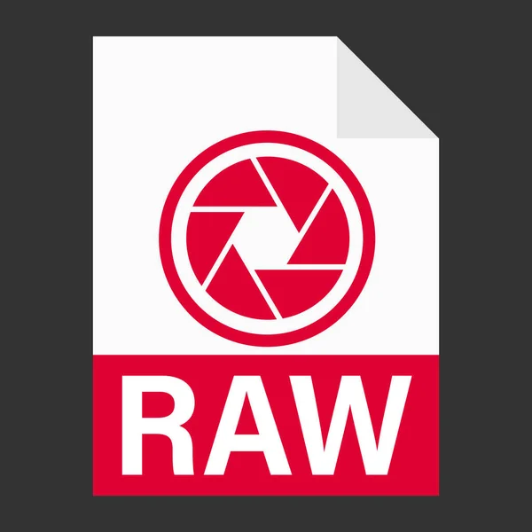 Modern Plat Ontwerp Van Raw Bestand Pictogram Voor Web — Stockvector