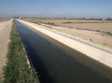 el fangar, Türkistan delta