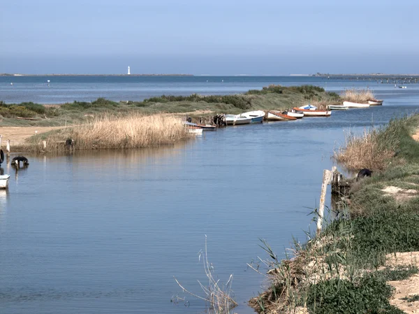 El Fangar, Ebre Delta — Zdjęcie stockowe