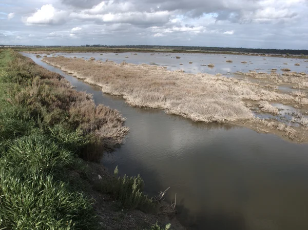 Sado estuary, portugal. in de buurt van mitrena natuurreservaat — Stockfoto