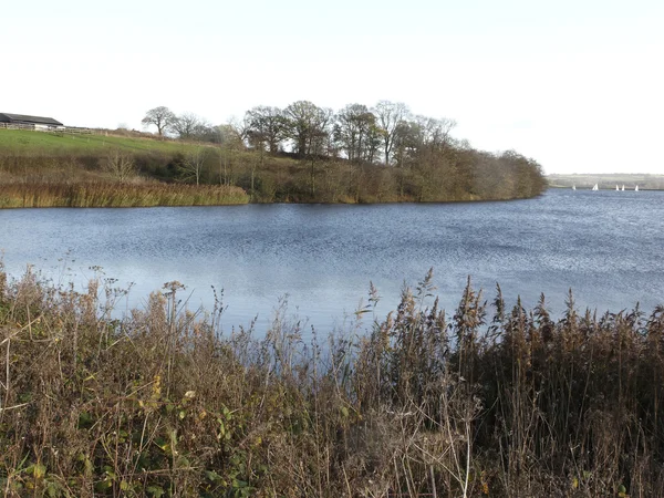 Chelmarsh Reservoir, Shropshire — Stockfoto