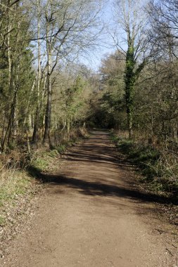 nagshead rspb rezerv