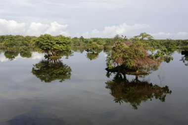 Bir Nusa dua, celu balia, balia, Endonezya