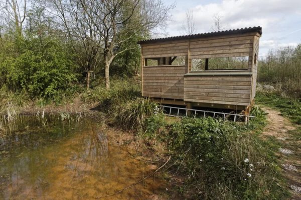 Highnam Woods RSPB Reserve — Stock Photo, Image