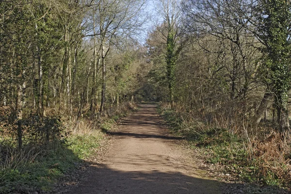 Rezerwa rspb nagshead — Zdjęcie stockowe