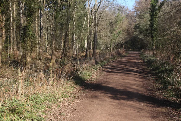 Rezerwa rspb nagshead — Zdjęcie stockowe