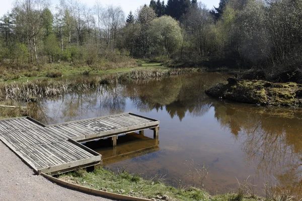 Rezerwa rspb nagshead — Zdjęcie stockowe