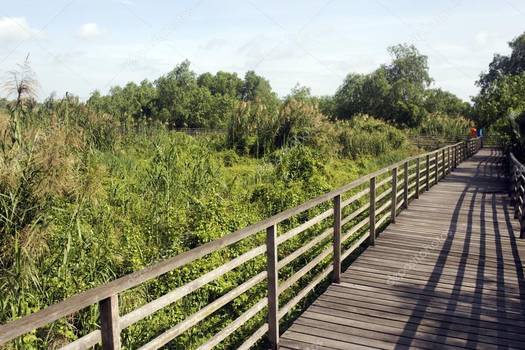 Muara Anke nature reserve