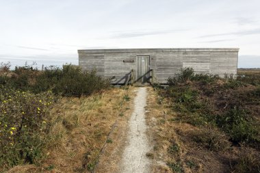 elmley rspb rezerv, kent