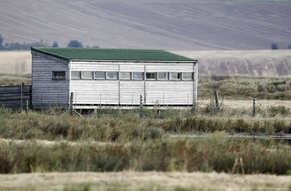 Reserva RSPB Elmley, Kent —  Fotos de Stock