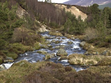 Allt mor nehir, cairngorm Dağları