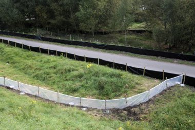 sürüngenler yakalamak için eskrim