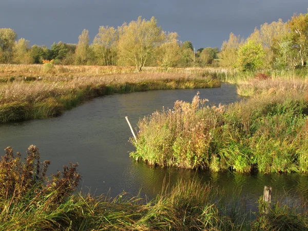 Feckenham Wytde Moor — стокове фото