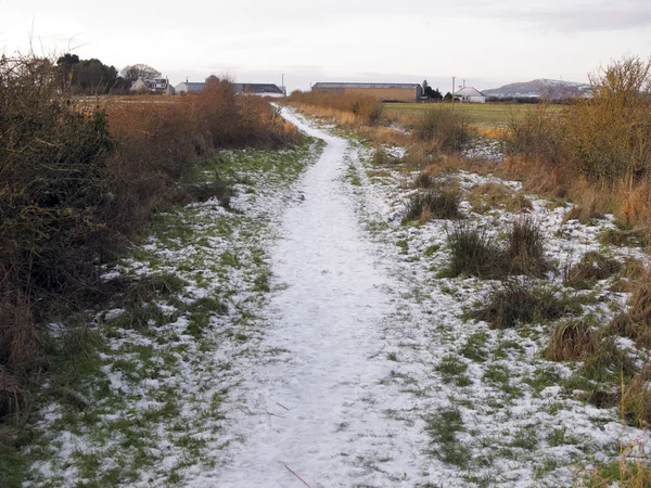 Mersehead rspb reserv, dumfries — Stockfoto