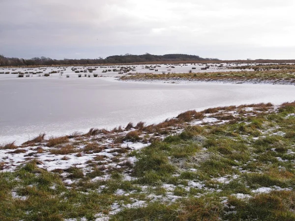 Reservatet Mersehead RSPB, Dumfries – stockfoto