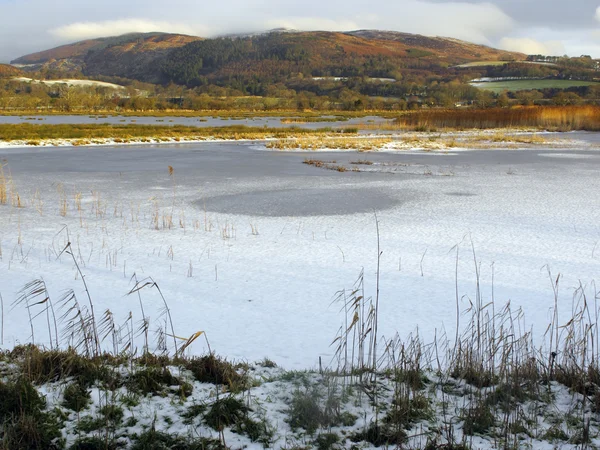 Reserva Mersehead RSPB, Dumfries — Foto de Stock