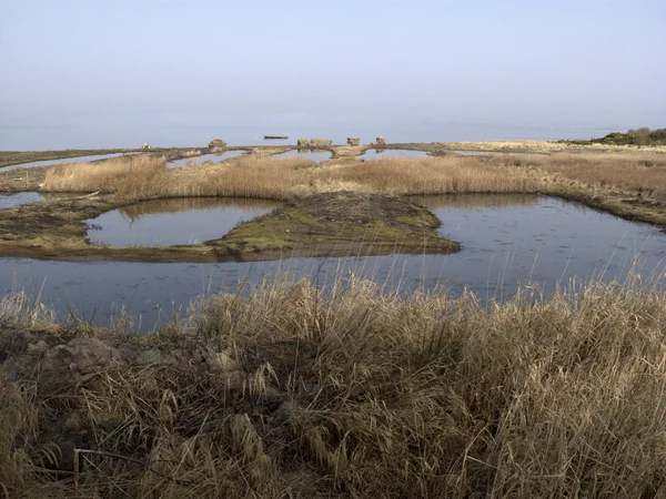 Montrose basin, — Stockfoto