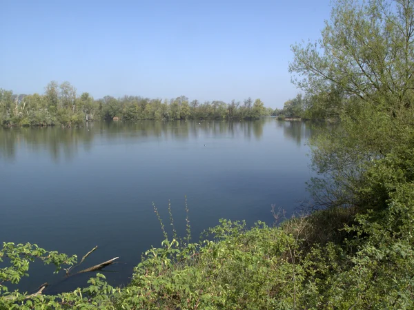 Heronry Güney Havuzu, küçük paxton doğa rezerv — Stok fotoğraf