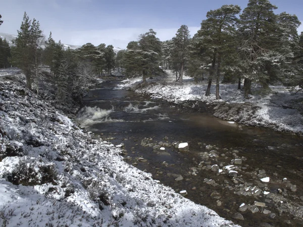 Linn of Dee, near Braemar — Stock Photo, Image