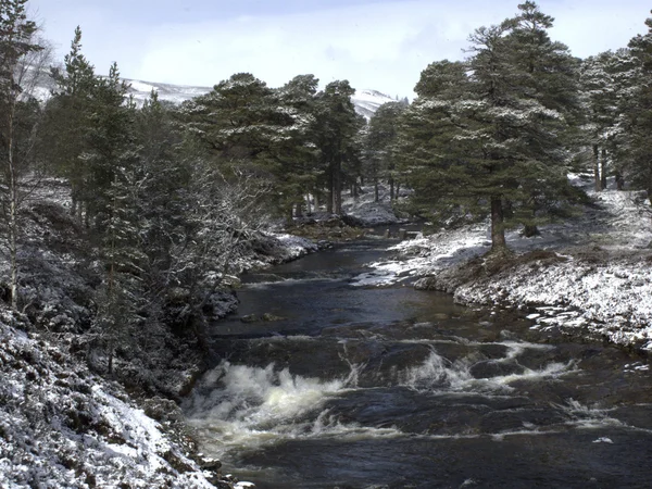 Linn of Dee, nær Braemar – stockfoto