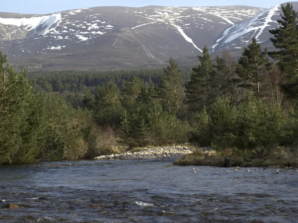 Río que corre hacia Loch Morlich, Avimore — Foto de Stock