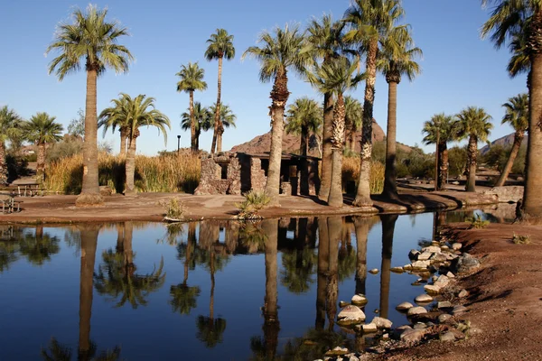 Papago vijvers — Stockfoto