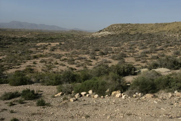 Öken i Spanien — Stockfoto