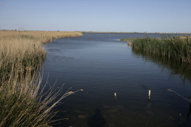 Ebro delta, İspanya