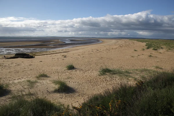 Dornoch plaży — Zdjęcie stockowe