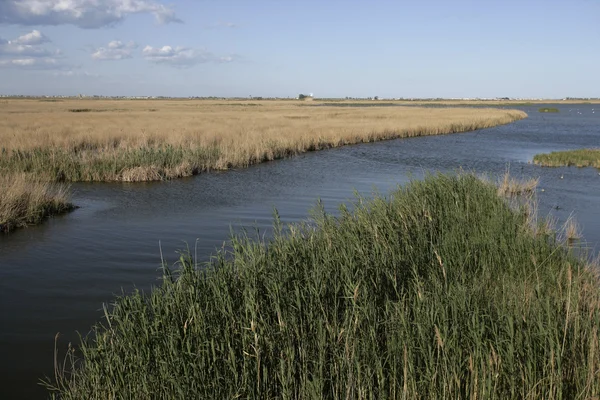 Ebro-delta, Spanje — Stockfoto