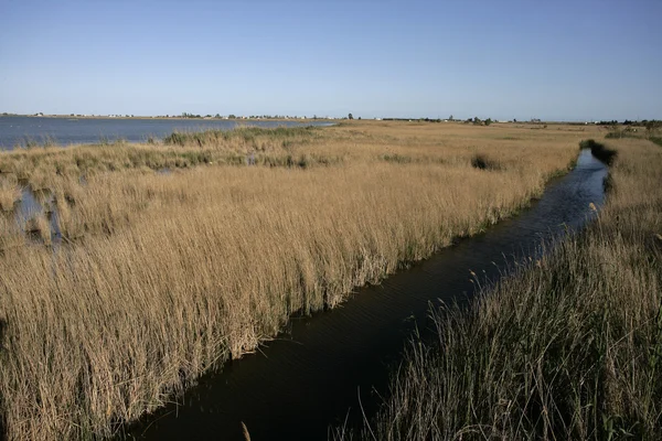 Ebro delta, spanien — Stockfoto