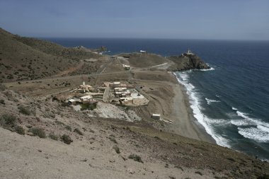 Gabo de gatozwarte gestippelde setter