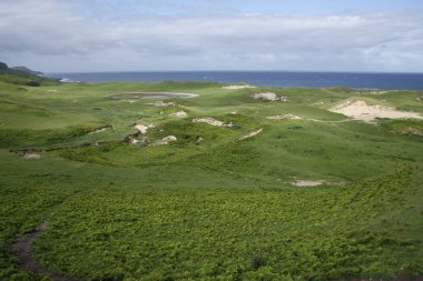 Dunes machir defne tarafından