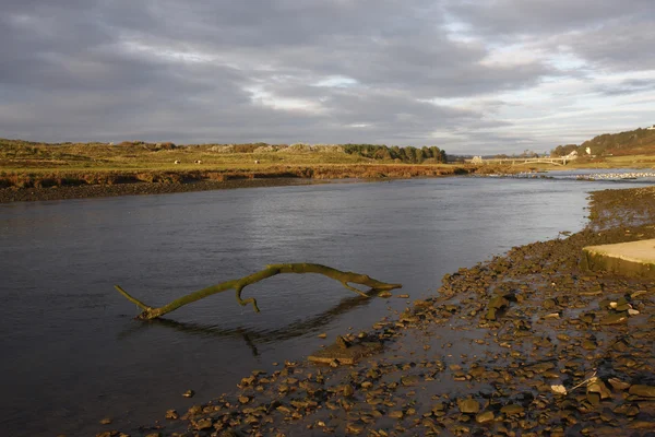 Rio Ogmore — Fotografia de Stock