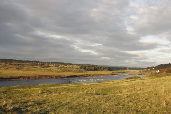 Fiume Ogmore — Foto Stock