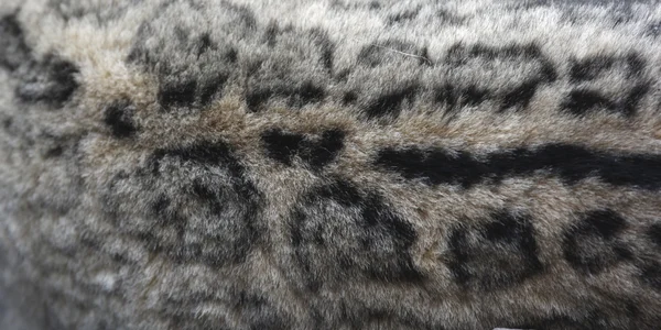 Snow leopard は、[編集] 単行本 [編集] 単行本, — ストック写真