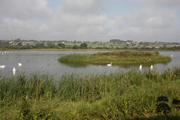 Summer Leys nature reserve — Stock Photo, Image