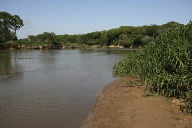 Pantanal