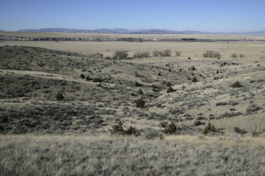 Buffalo eyalet parkı atlamak