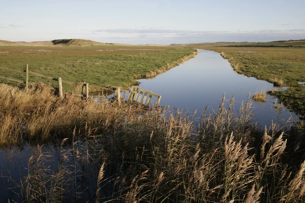 Cley bažiny přírodní rezervace, — Stock fotografie