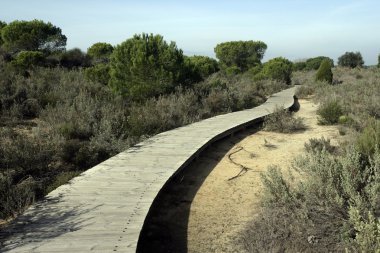 Coto donona Milli Parkı