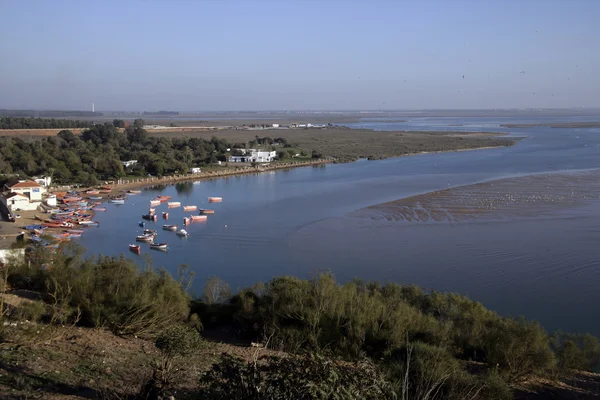 Moulay bousselham rezerwy, — Zdjęcie stockowe