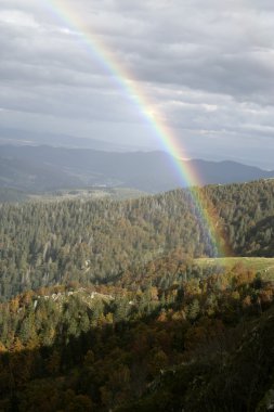 Vosges Dağları, lorraine,