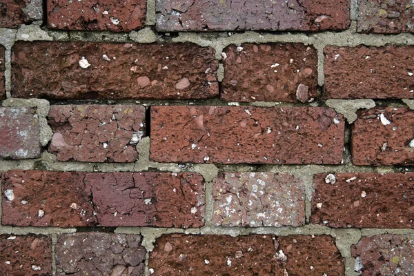 Mauer aus Ziegeln — Stockfoto