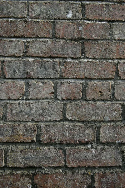 Mauer aus Ziegeln — Stockfoto