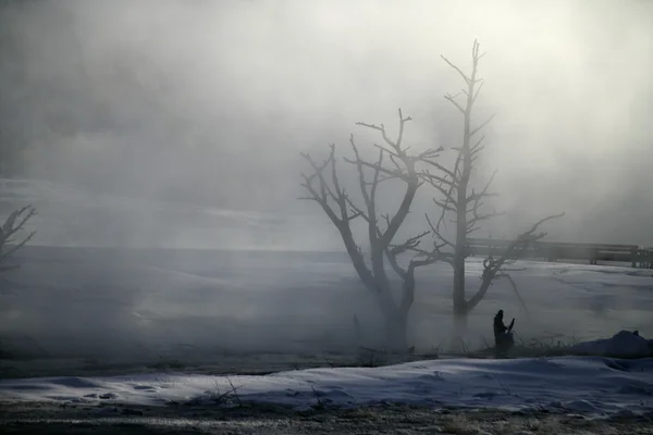 Yellowstone-Nationalpark — Stockfoto